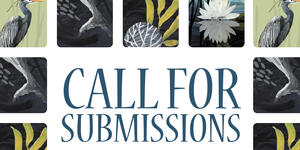 Call for Submissions: ICE